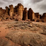 الرئيس الامريكي يدعو ملك الاردن لزيارة رسمية لواشنطن في 11 فبراير الجاري