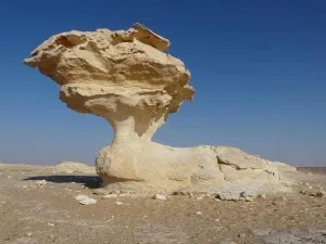 هل تشكل أبو الهول عن طريق نحت او تآكل الصخور ؟ 9 - CJ العربية 2db822bc ff16 4793 a9a6 776cdcf5d49e - CJ العربية