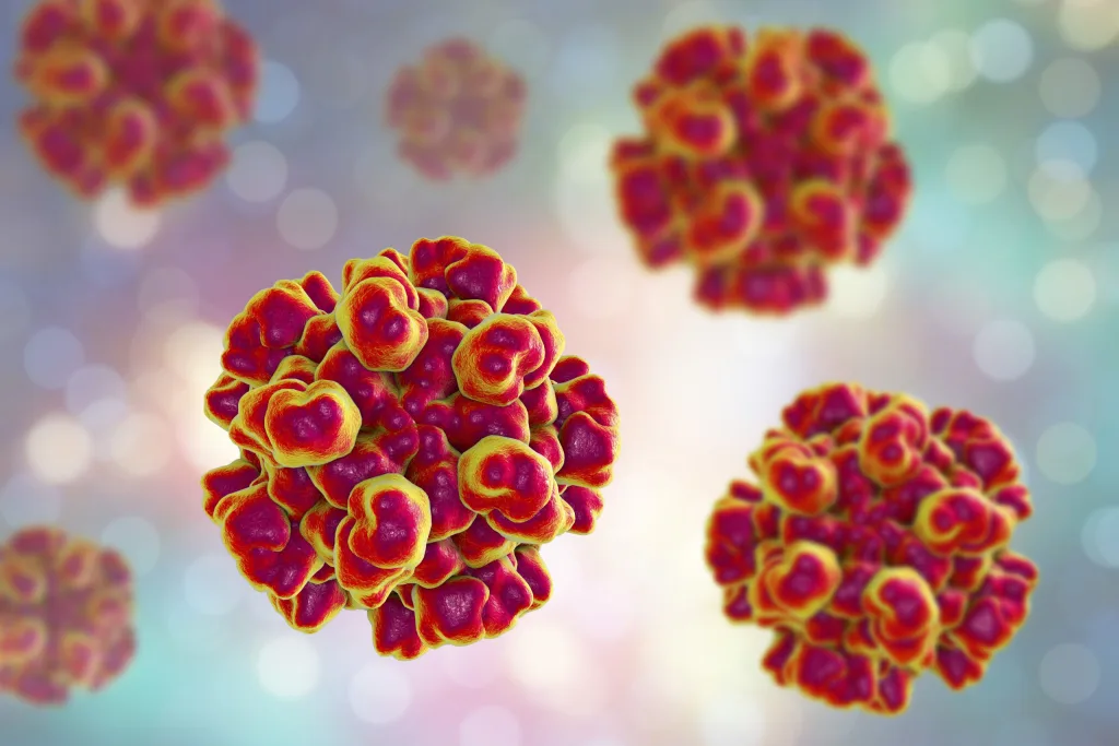 ما هو فيروس هانتا، العدوى التي قتلت بيتسي أراكاوا، زوجة جين هاكمان؟ 6 diseases