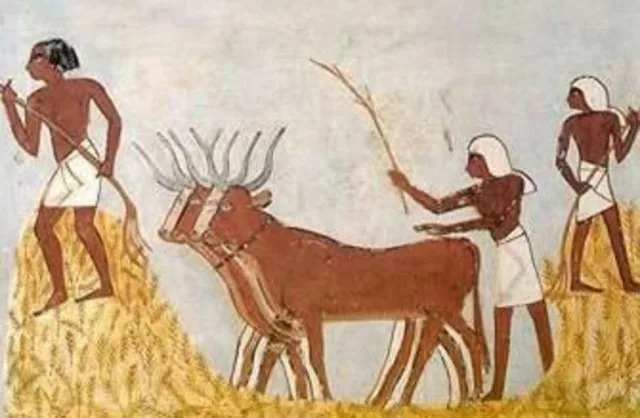 إنجازات الحضارة المصرية القديمة بقلم د. حسين عبد البصير 6 image 20 png