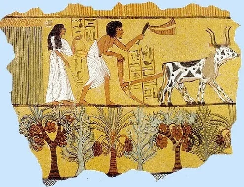 إنجازات الحضارة المصرية القديمة بقلم د. حسين عبد البصير 7 image 21 png