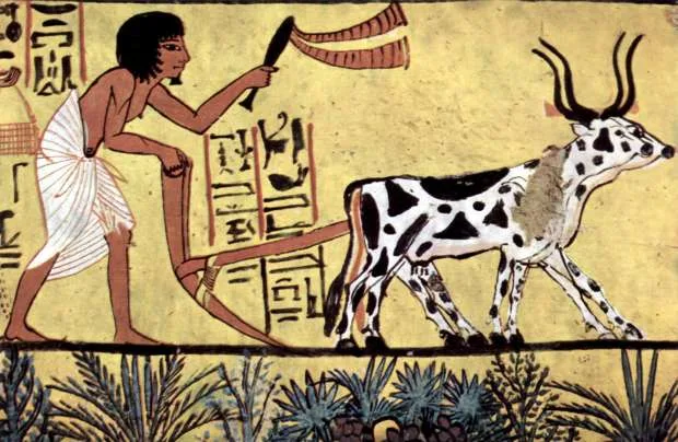 إنجازات الحضارة المصرية القديمة بقلم د. حسين عبد البصير 10 image 24 png