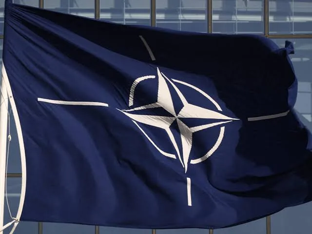 IMG 8599 - CJ العربية