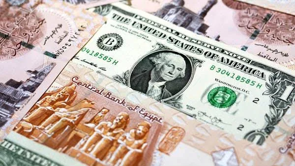 الدولار يواصل التراجع أمام الجنيه المصري ويخسر 20 قرشًا جديدة في البنوك 8 IMG 9749