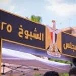 المظاهرات امام السفارات المصرية تثير الجدل و ردود فعل دولية منددة ، و داعمة للدور المصري