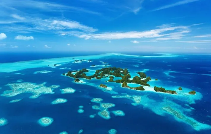 IMG 0019 - CJ العربية