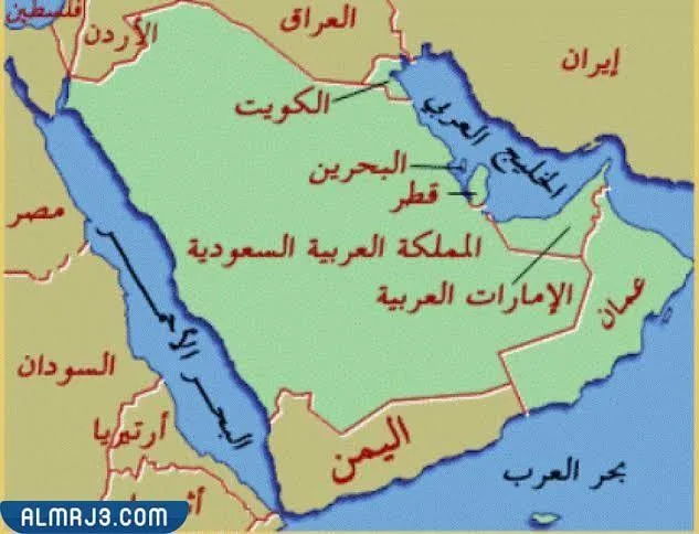 IMG 9996 - CJ العربية