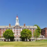 الذكاء الاصطناعي… من خوارزمية إلى همس الروح