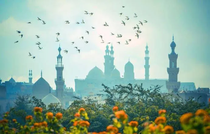 IMG 1039 - CJ العربية