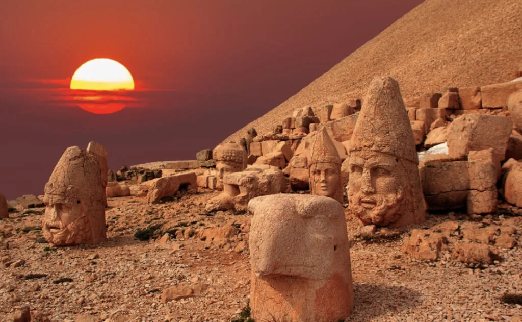 IMG 1048 - CJ العربية